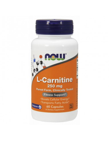 L - Carnitine